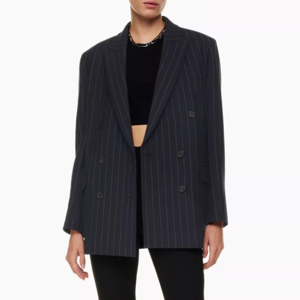 ARITZIA Babaton Status Blazer